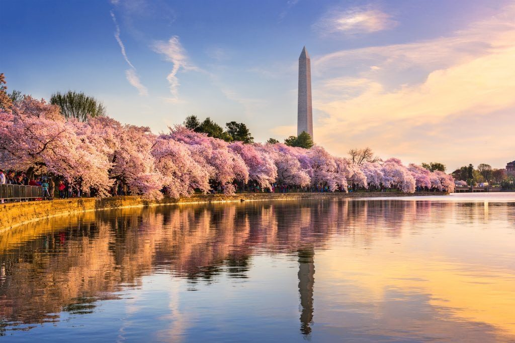 The HLC Series 2.0 – Washington D.C. 2019 